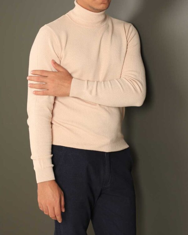 Smart Fit Beige Neck pullover - Image 3