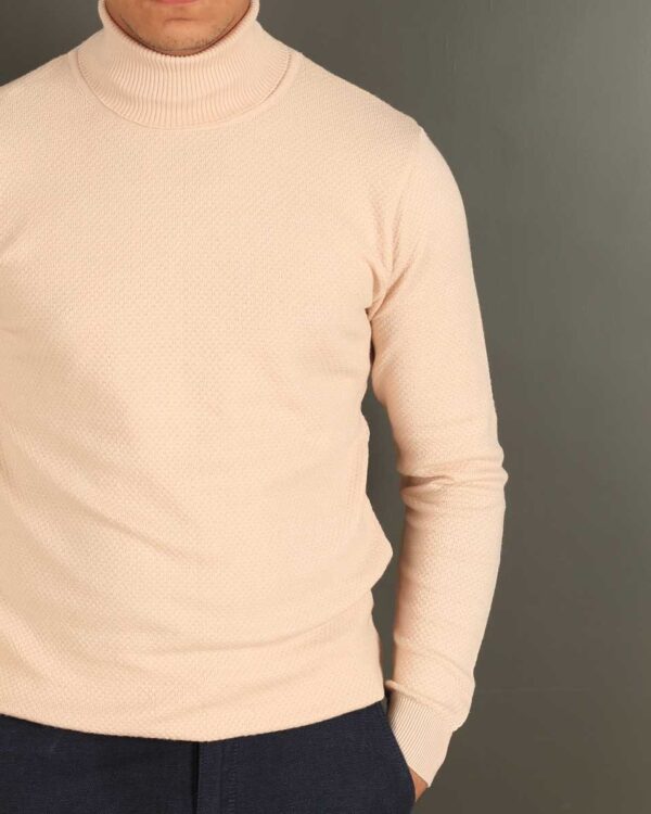 Smart Fit Beige Neck pullover - Image 4