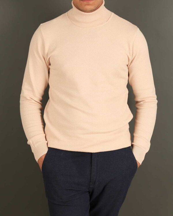 Smart Fit Beige Neck pullover - Image 2